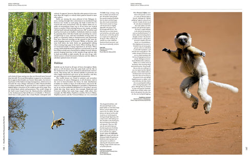 Handbook of the Mammals of the World no 3, Primates - Lynx 2013